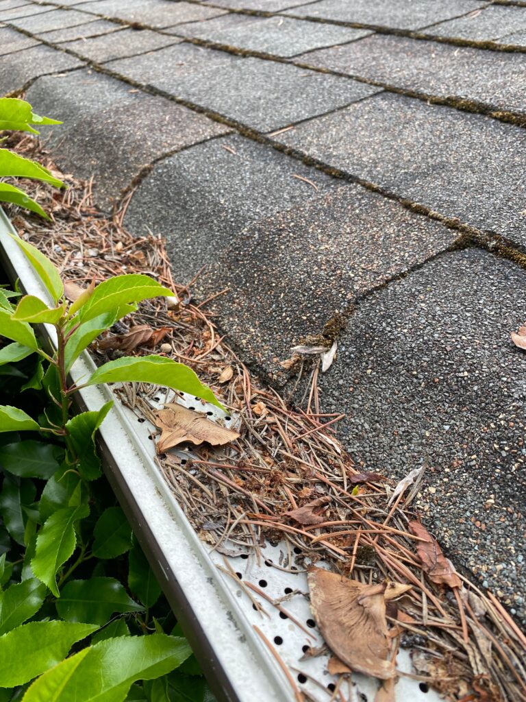 img 1730